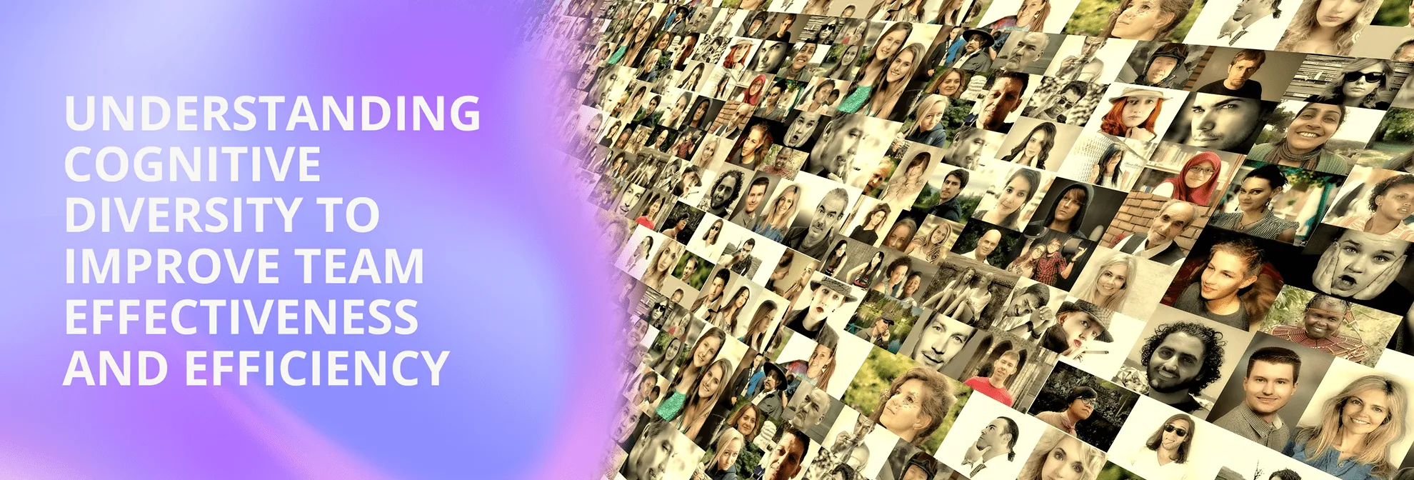 On the left there is a purple gradient with a text overlay that says empowering people to make a positive difference. On the right is a photograph of wild flowers.